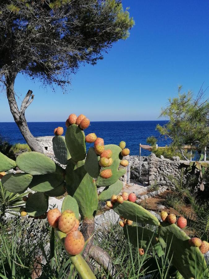 Villa Marigiosa Salento Marittima Zewnętrze zdjęcie