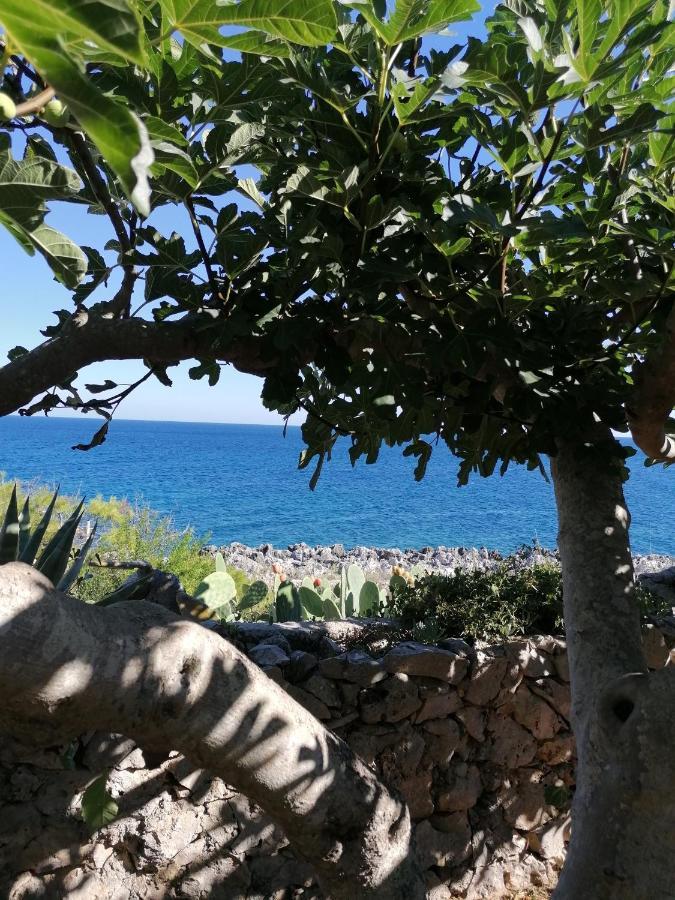 Villa Marigiosa Salento Marittima Zewnętrze zdjęcie
