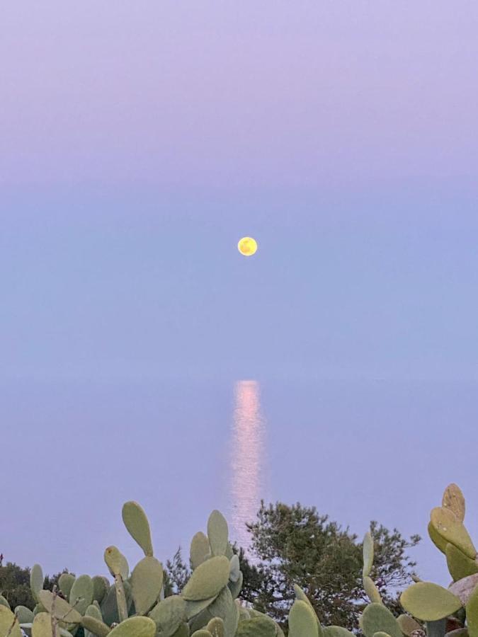 Villa Marigiosa Salento Marittima Zewnętrze zdjęcie