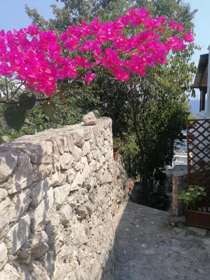Villa Marigiosa Salento Marittima Zewnętrze zdjęcie